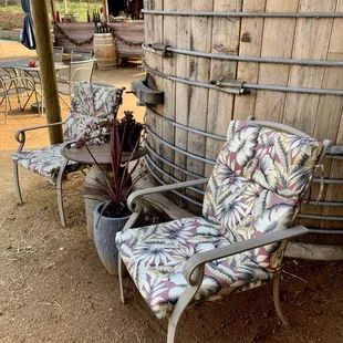 wo chairs and a potted plant