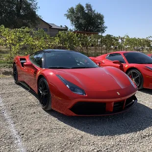 Ferrari Owners Club