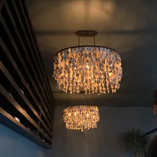 Oyster shell chandeliers