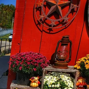 a display of flowers and a clock