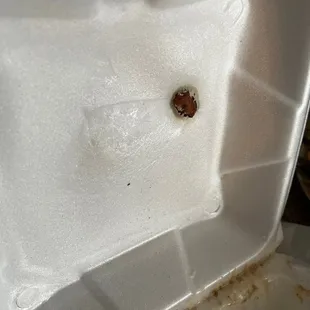 Okra melted through the top of the second container.