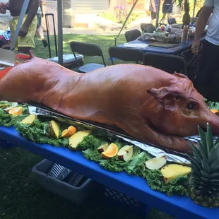 a pig on a platter of fruit