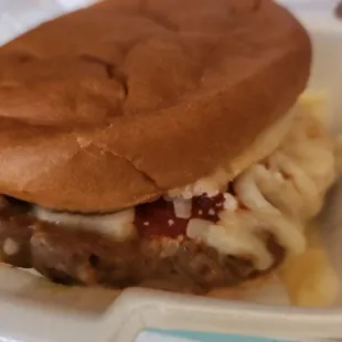  hamburger and macaroni and cheese