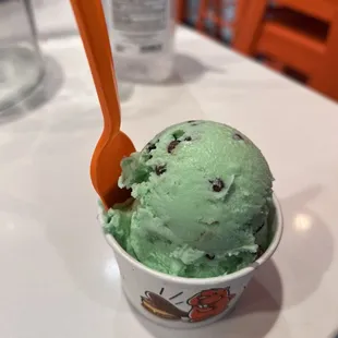 Mint Chocolate Chip