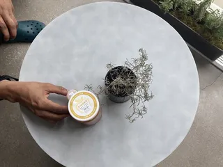 Pure Raw Juice - Federal Hill