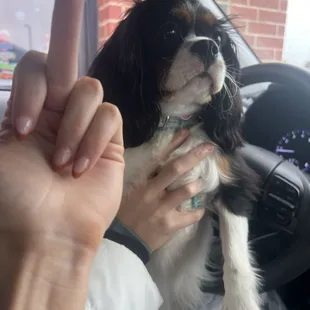 a person giving the peace sign in a car