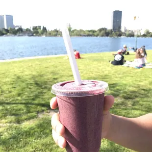 Berry Blast ($9). Strawberry, banana, blueberry, lacuma powder, acai, almond milk. Organic, non-GMO.