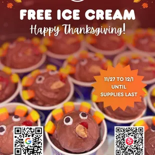 Thanksgiving Promotion
