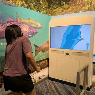 Salmon river simulator