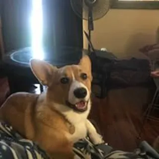 L W.