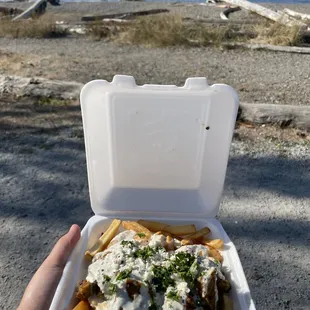 19. Large Snack Gyro Fries Fries are alright. The sauce and meat taste delicious!