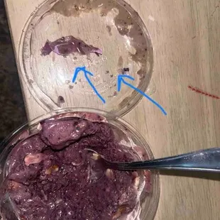 Food was great everything tastes good, love how it's healthy. However, I found chunks of plastic in my smoothie bowl :/