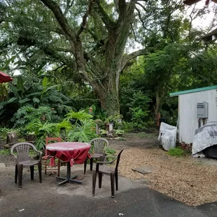 The patio.  Snake and Jake&apos;s
