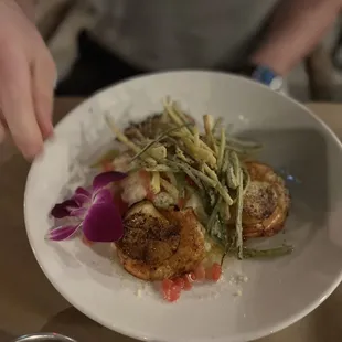 mussels, oysters, food, oysters and mussels, shellfish