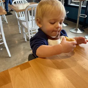a toddler eating a donut