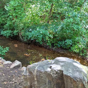 Proof there is, in fact, a creek. I don&apos;t remember that big rock obstructing the view.