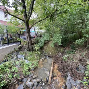 Creekside view (tables at left)