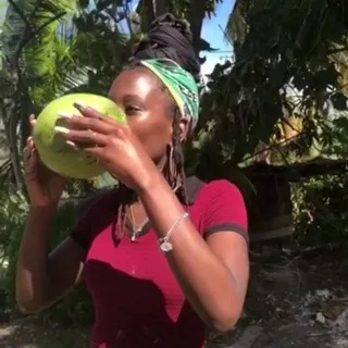 Harmony P.