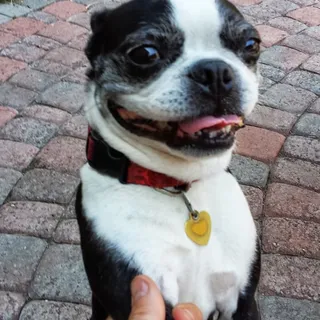 Paul O.