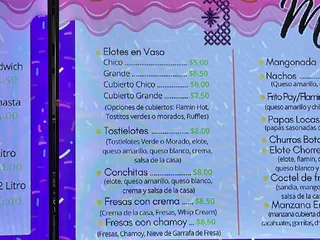 La Tradicional Nieves De Garrafa