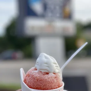 Sno To Go
