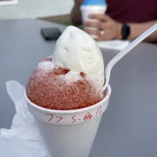 parrot head Stuffed SnoBall