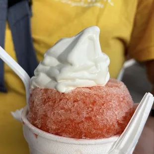 Parrot head Stuffed SnoBall