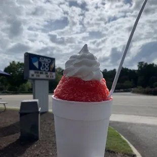 Delicious! It was my first time eating a Stuffed SnoBall. I ordered the Tiger&apos;s Blood flavor.
