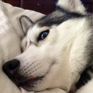 S M.