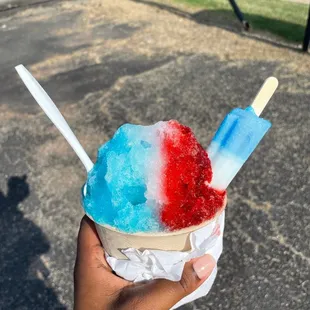 Sno Trips