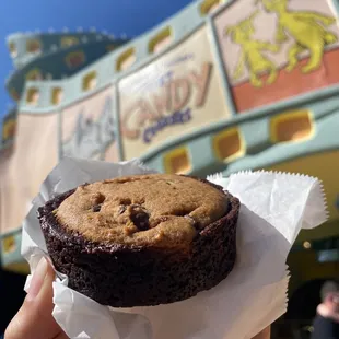 a hand holding a chocolate cookie