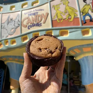 a hand holding a chocolate cookie