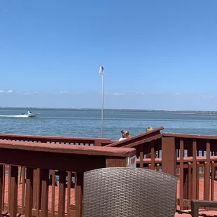 View from my table