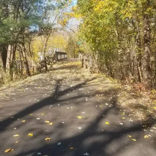 The Perkiomen trail was a beautiful walk and a great place to take family. After a  hardy breakfast.