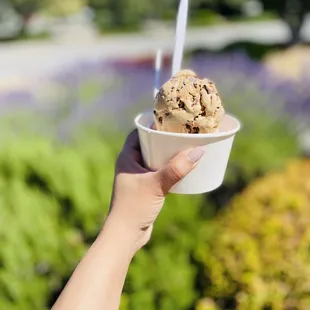 Espresso and strawberry scoops!