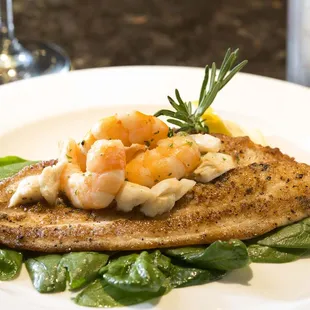 grilled fish, seafood, grilled seafood, fish, food