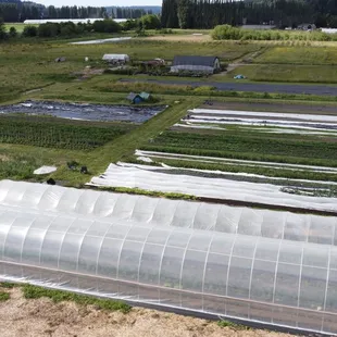 an aerial view of a greenhouse