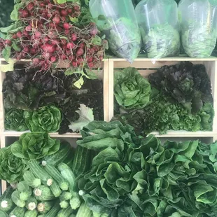 a variety of vegetables on display