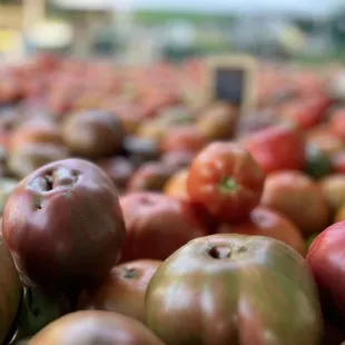 Heirloom Tomato