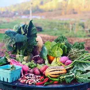 Summer CSA box