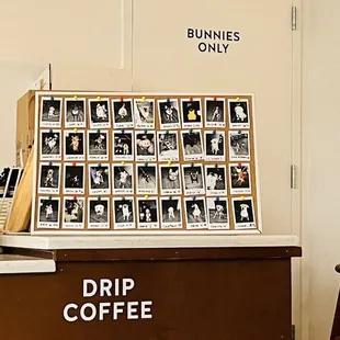 a display of coffee beans