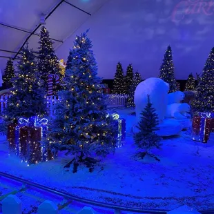 Cute little tree area in the middle of the train ride.