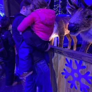 Animatronic reindeer next to the sweets stand.