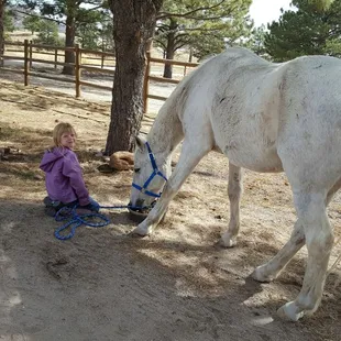 Happy horses here. We offer boarding and lessons at Www.snowcreeklarkspur.com