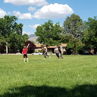 Fun in the sun! Plenty of grass to go around!