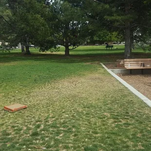 Pretty trees... And trash