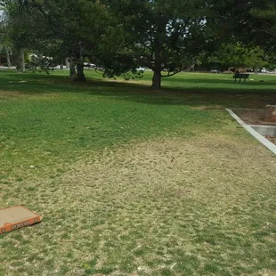 I-spy not one, not two, but three cardboard boxes in the park