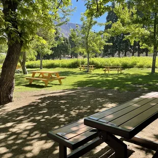 Raspberry u pick area