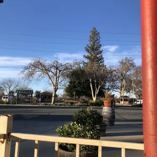 View from the patio. Across the street is the  Lodi Lake parking lot.