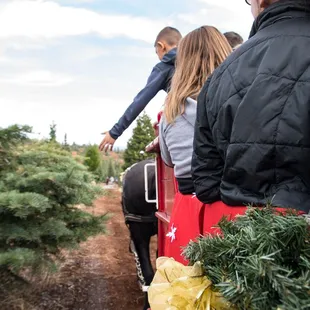 Wagon ride was definitely a highlight